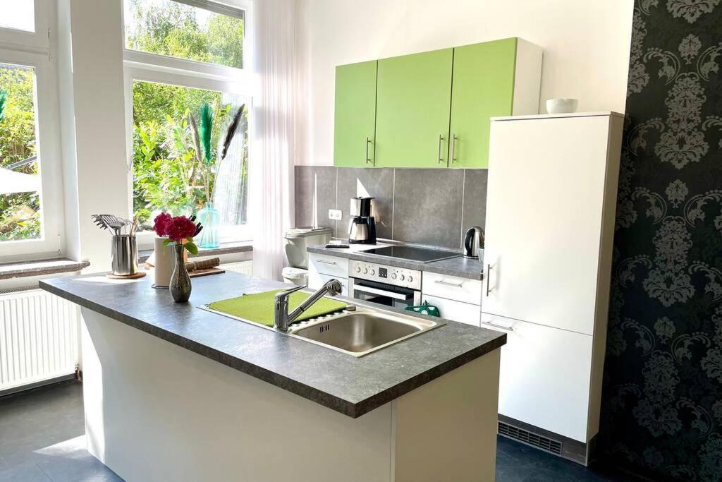 Villa Einhorn: Altstadt Loft Mit Privater Terrasse ゴスラー エクステリア 写真